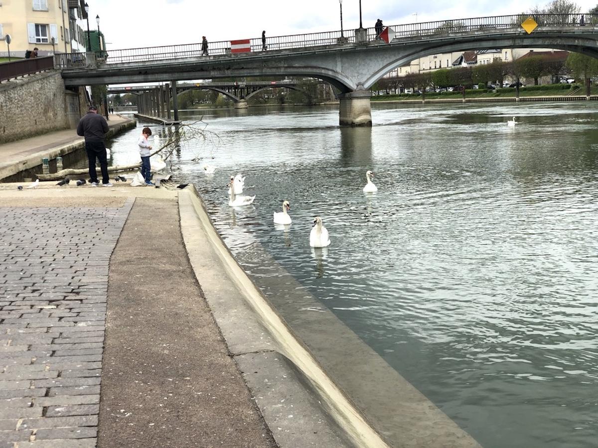 La Suite Emoji - Sdp Lagny-sur-Marne Luaran gambar